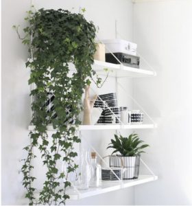 White Shelving